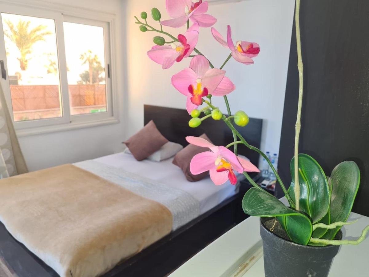 الغردقة Lilly Lounge And Pool Accommodation For Adults Only المظهر الخارجي الصورة